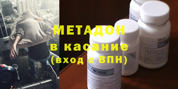 прущие грибы Новозыбков