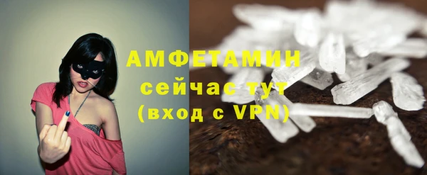 прущие грибы Новодвинск