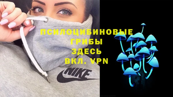 мяу мяу мука Балабаново